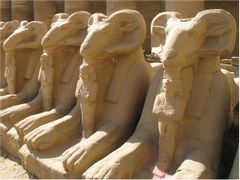 Luxor Day Tour East and West Bank