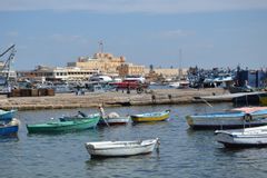 Alexandria Tour from Cairo by Land